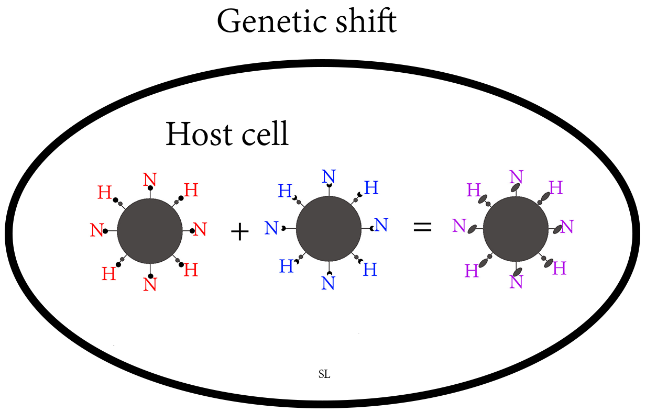 figure 2 genetic shift